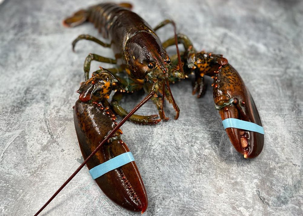 Фото: Oyster Market