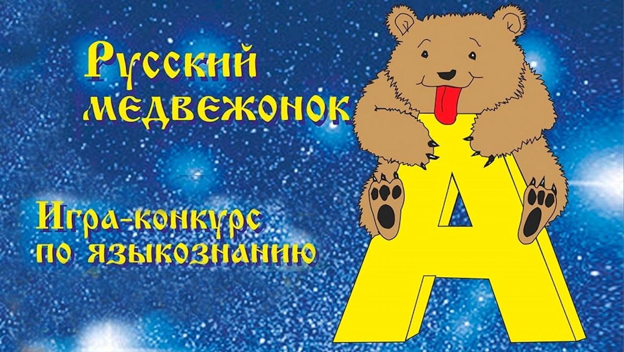 Обложка статьи Срок действия результатов школьных олимпиад для воюющих в Украине продлили