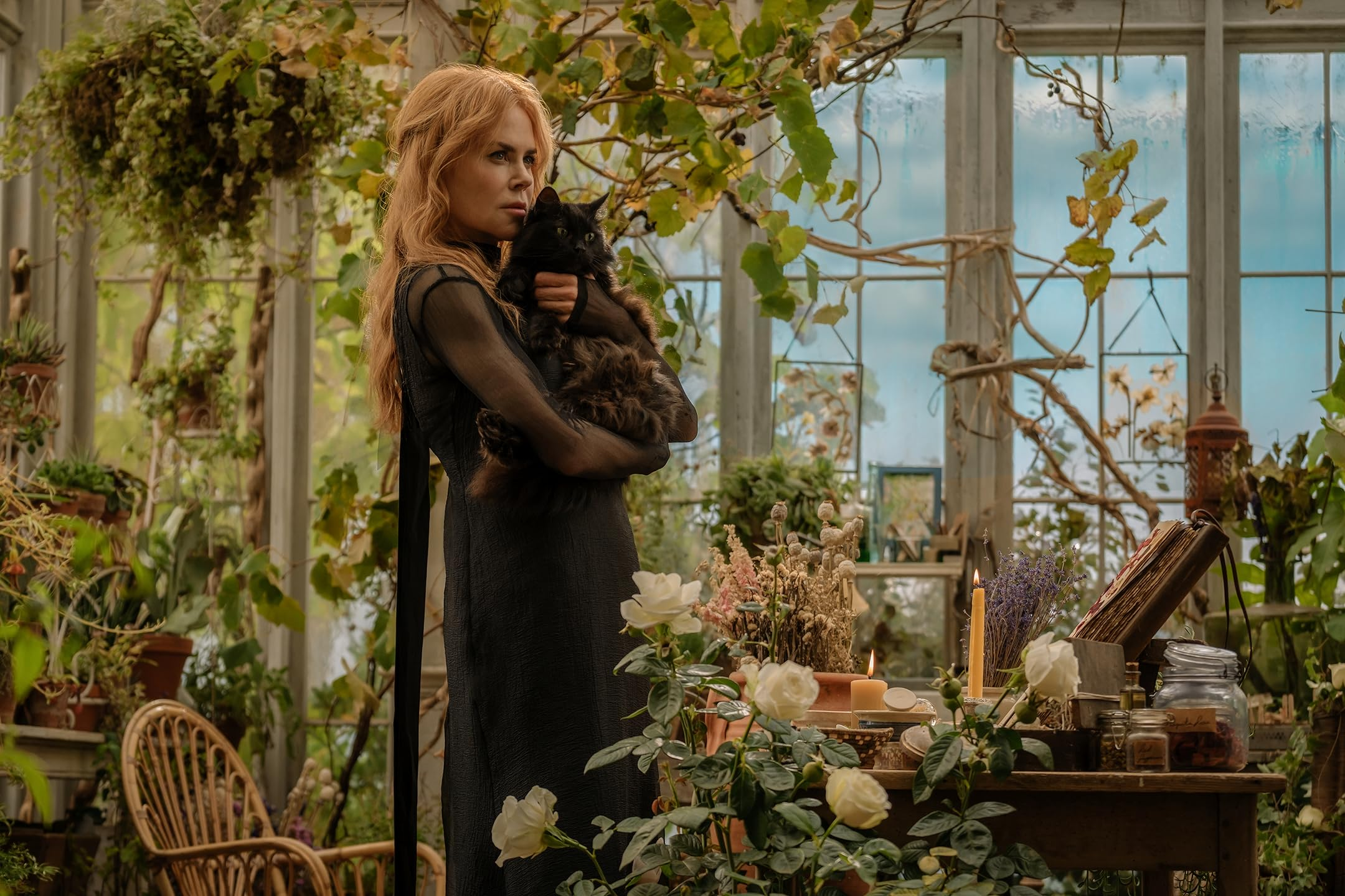 Фото со съёмок фильма «Практическая магия 2»
IMDB.com