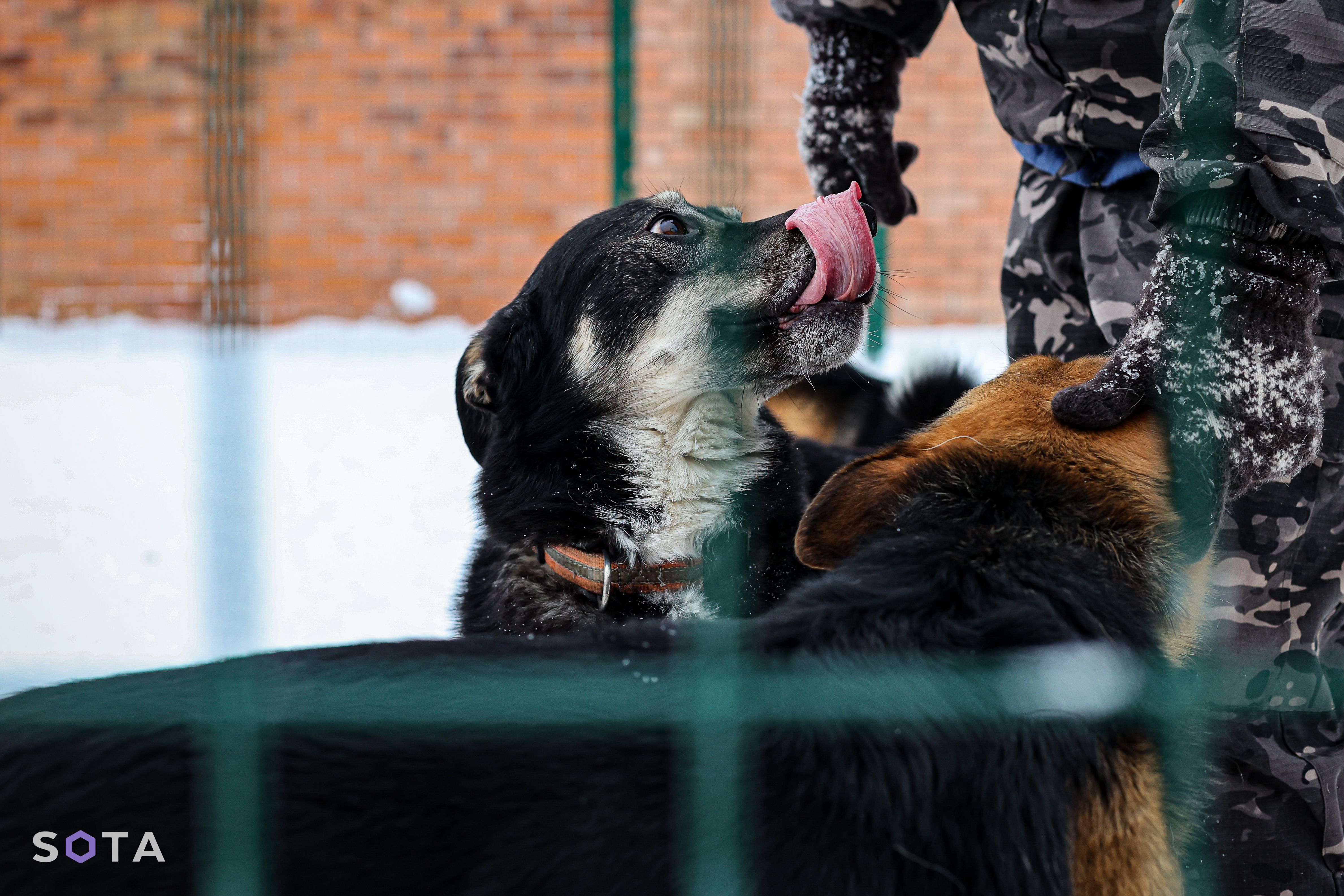 Приют «Малинки»
Snusmumriken / SOTA