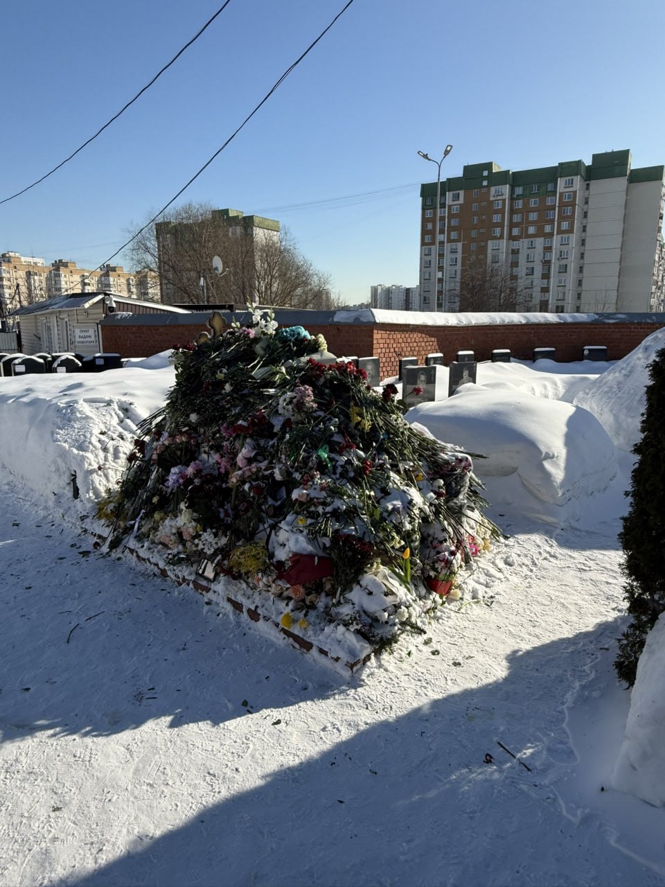 Обложка статьи Москвичи продолжают нести букеты к могиле Алексея Навального