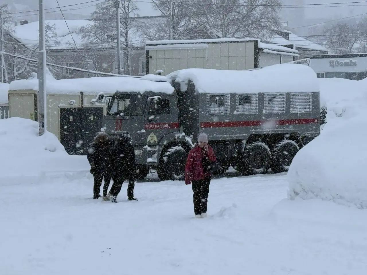 Фото: Правительство Камчатского края