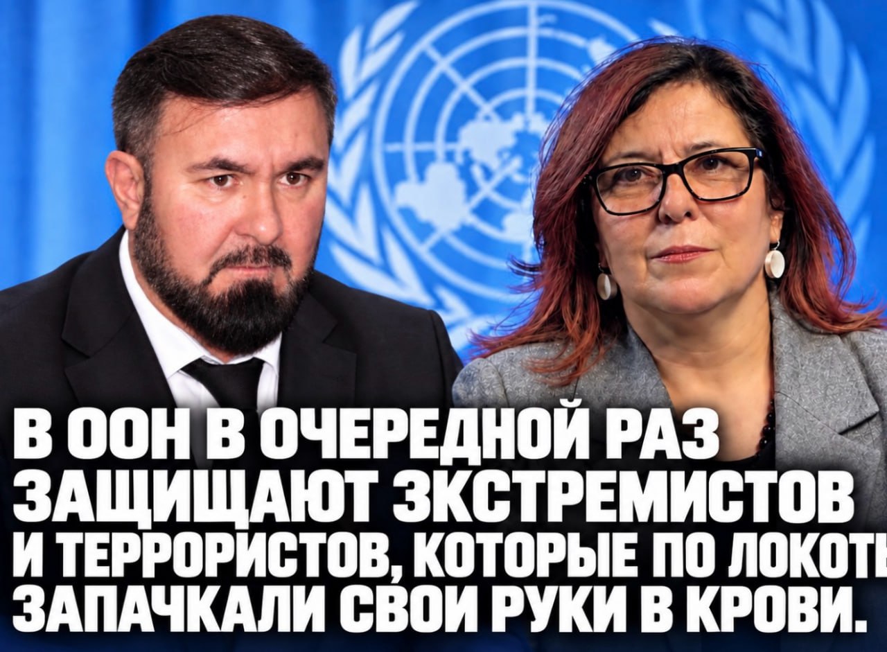 Обложка статьи Чеченский «омбудсмен» Солтаев ответил на доклад Кацаровой в ООН о транснациональных репрессиях Кадырова