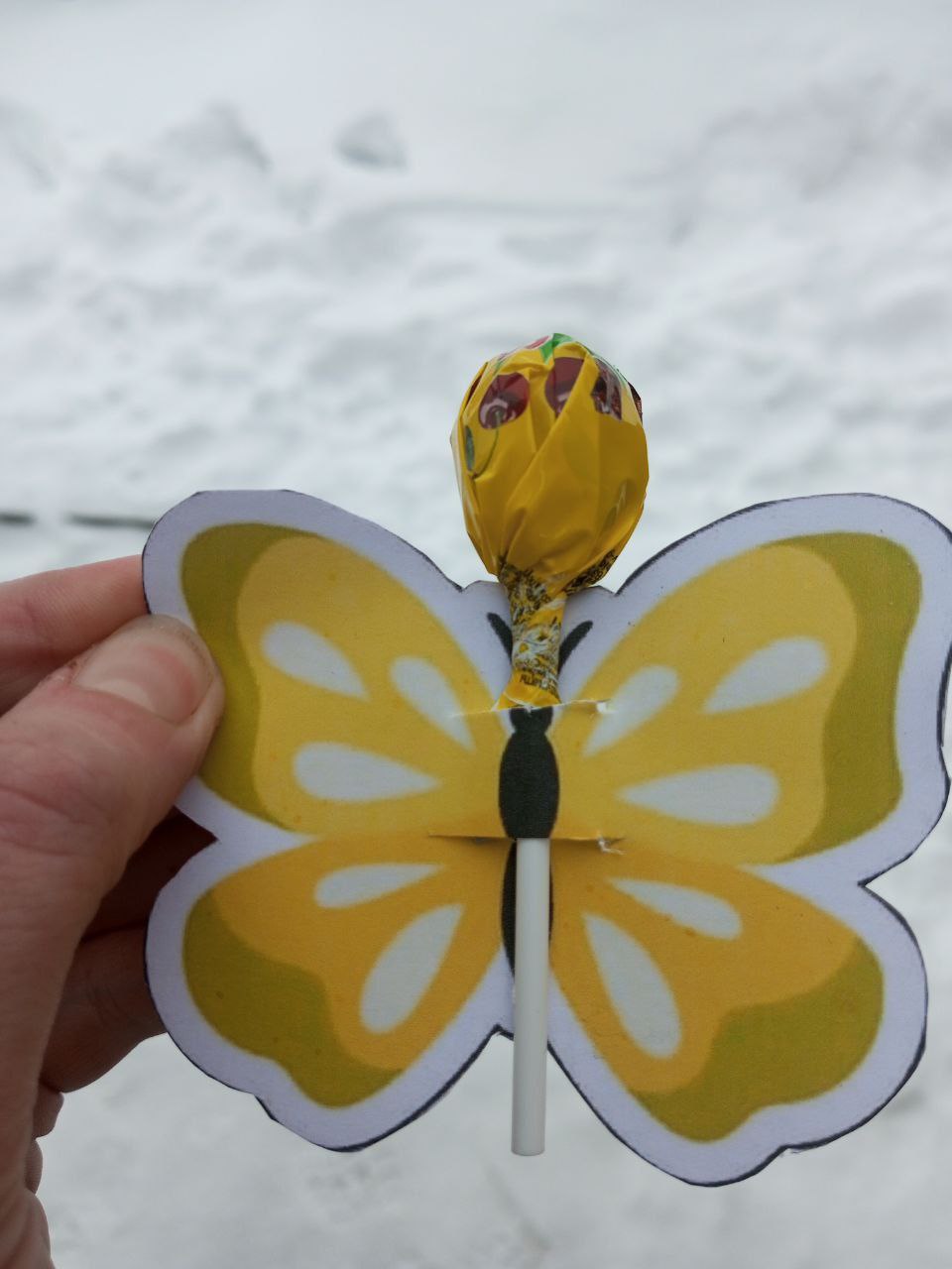 Обложка статьи В Томской области матери погибшего военного вручили леденец к 8 марта