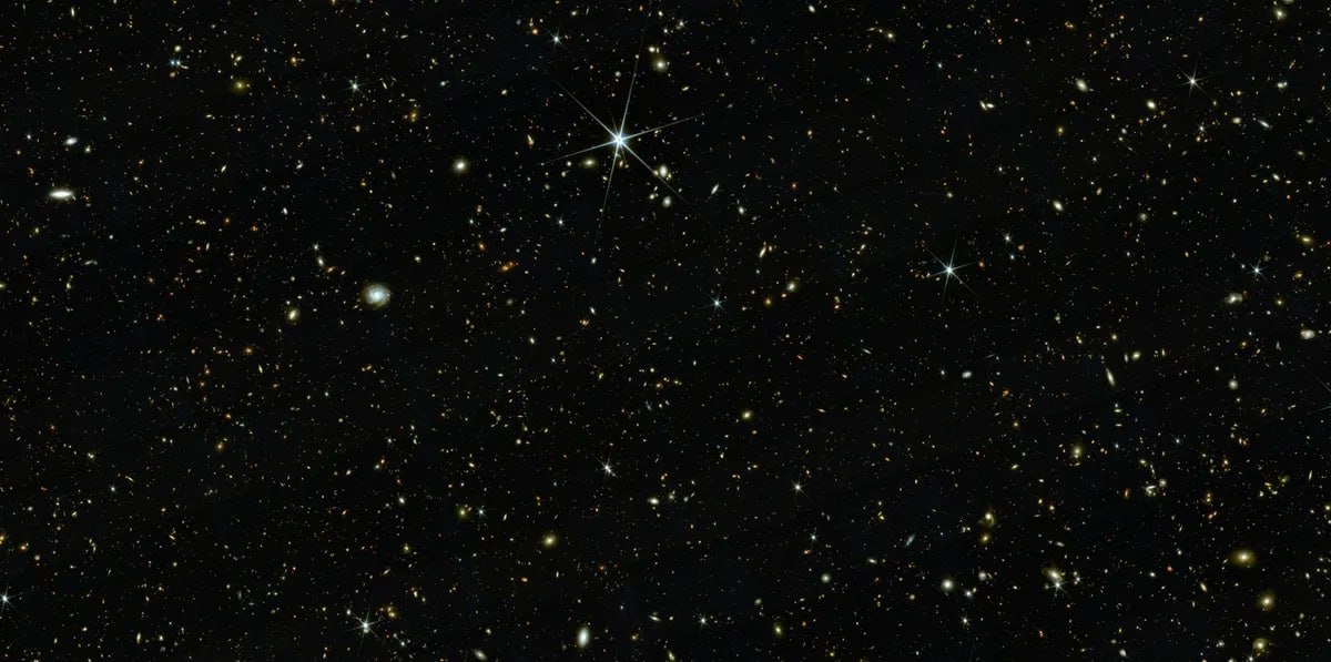 Фото: COSMOS