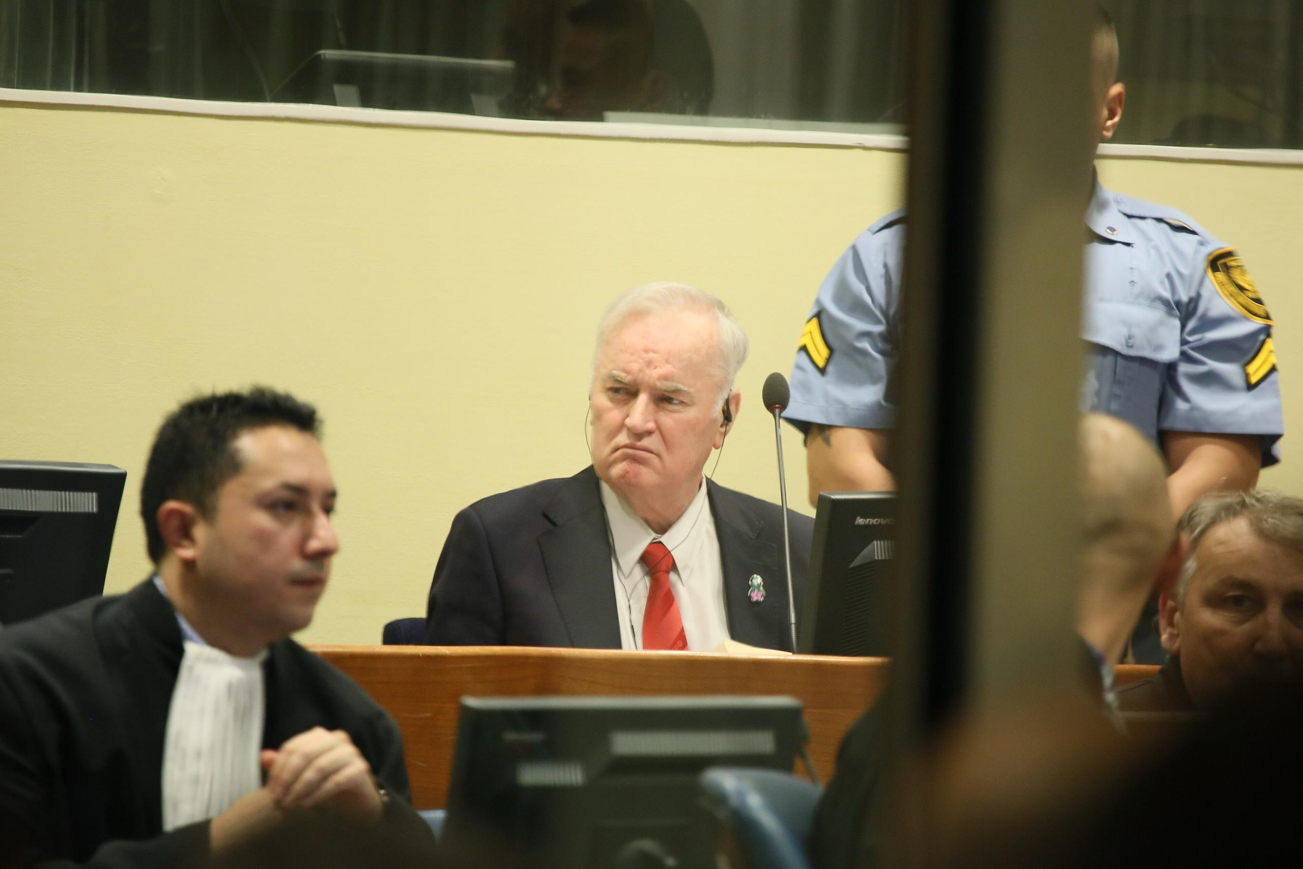 Фото: UN International Criminal Tribunal for the former Yugoslavia / Mladić Trial Judgement / Wikimedia