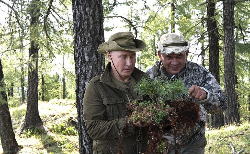 Обложка статьи Ряд СМИ опубликовали «слив из разведки» о Шойгу как возможном организаторе госпереворота. Что про это известно