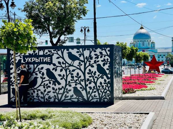 Обложка статьи Хинштейн поручил украсить рисунками бетонные укрытия в Курске, чтобы сделать их «более привлекательными»