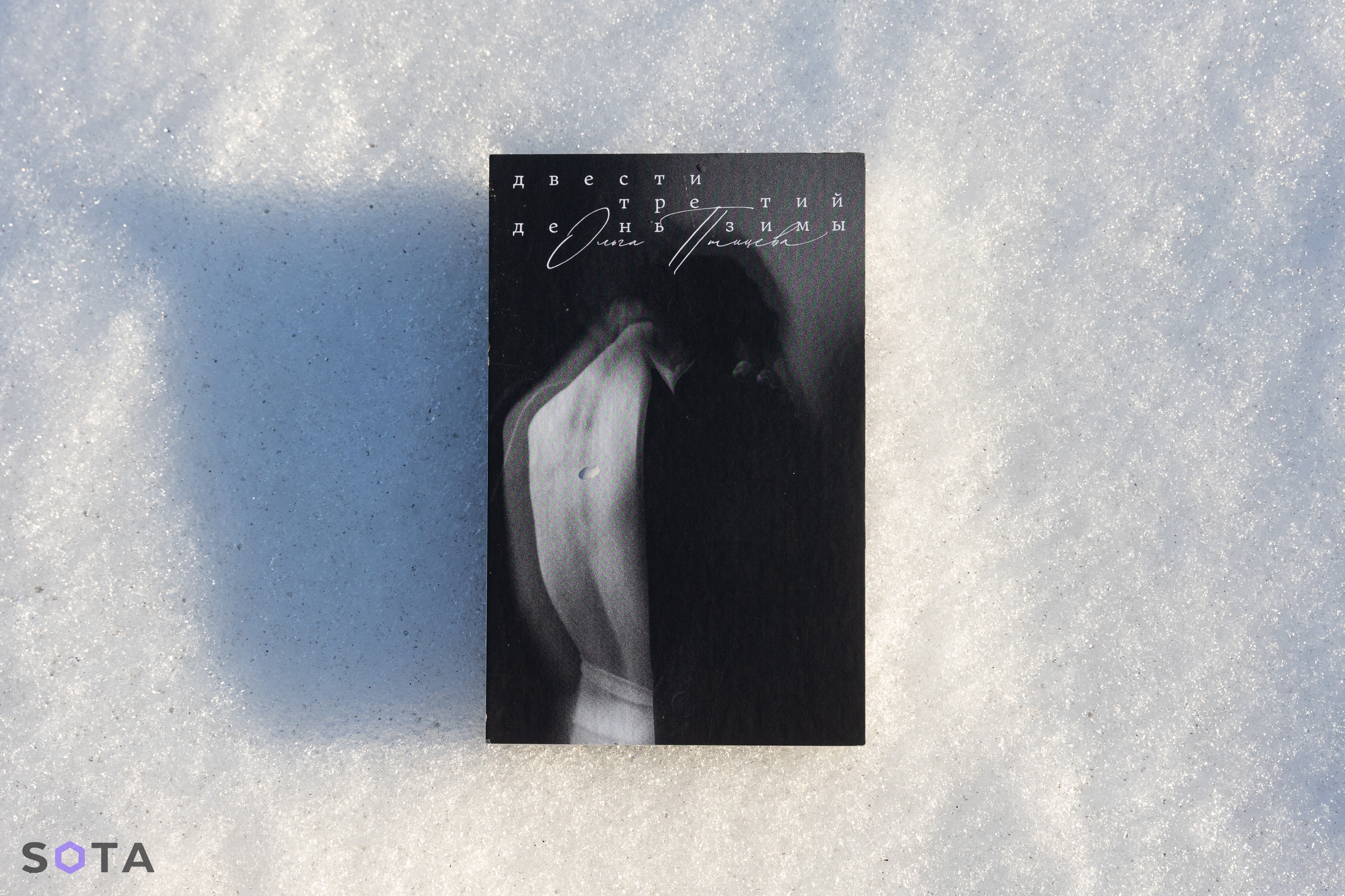 Обложка статьи Прогноз непогоды: «Двести третий день зимы» Ольги Птицевой как психотерапевтическая антиутопия