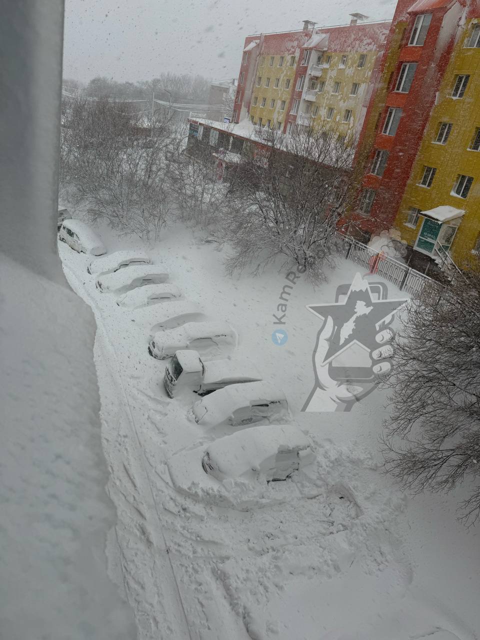 Фото: «Камчатский репортер»