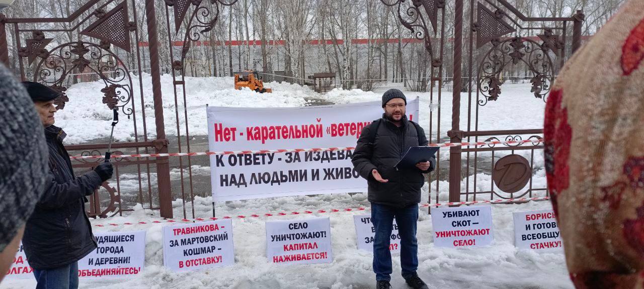 Обложка статьи В Новосибирске организатора митинга против забоя скота оштрафовали на 250 тысяч рублей
